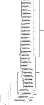 New Genotypes of Enterocytozoon bieneusi Isolated from <mark class="highlighted">Sika Deer</mark> and Red Deer in China